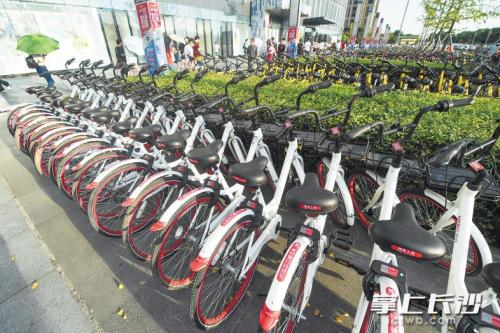 昨日下午，在開福區(qū)萬達廣場，成片的共享單車停放在廣場前坪。 長沙晚報記者 黃啟晴 攝