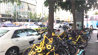 共享單車(chē)在中關(guān)村：誰(shuí)是最討厭它們的人