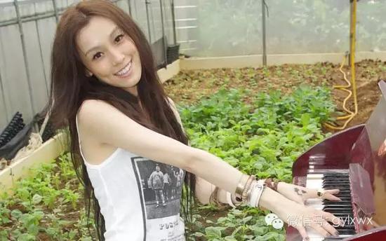 明星旅行糗事一籮筐 總有一個(gè)萌到你！