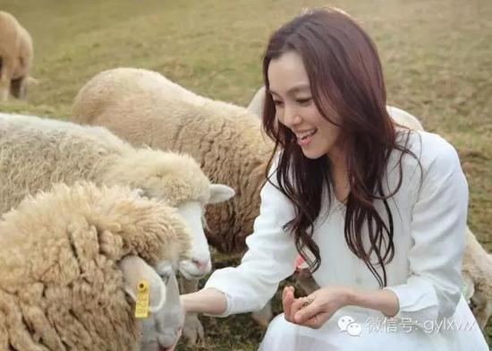 明星旅行糗事一籮筐 總有一個(gè)萌到你！