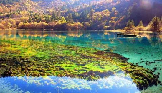 門票那么貴 沒法玩耍了！