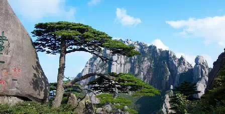 門票那么貴 沒法玩耍了！