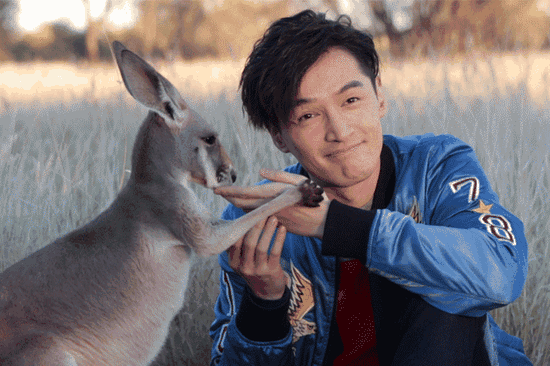 小袋鼠還有親到胡歌喲！