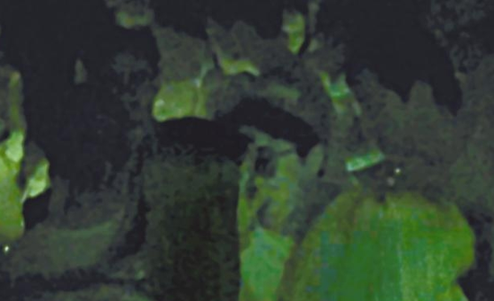 房祖名去年被港媒直擊在中環(huán)夜店與長(zhǎng)發(fā)妞互動(dòng)曖昧，女生正是Nana