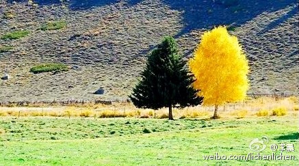 李晨公開戀情1周年 李晨公開戀情1周年