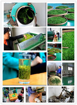 制茶的工藝真地道，仿佛聞到了茶香