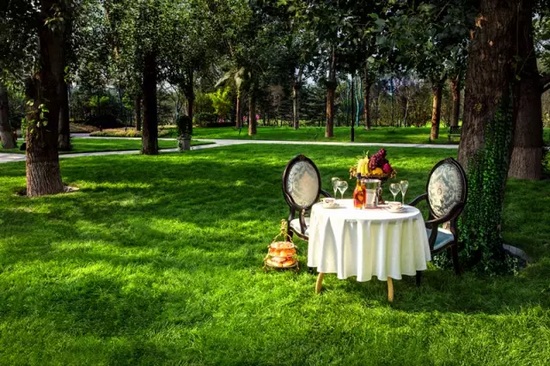 秋陽(yáng)鴻園，芳草青青