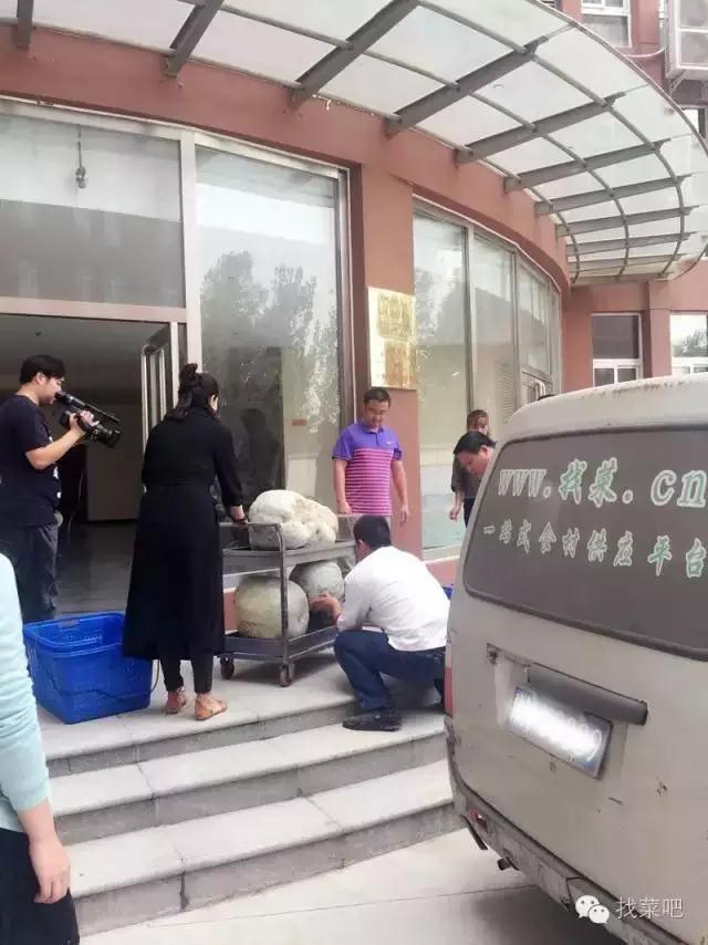 找菜網(wǎng)認(rèn)購(gòu)百萬(wàn)斤冬瓜，解農(nóng)戶燃眉之急