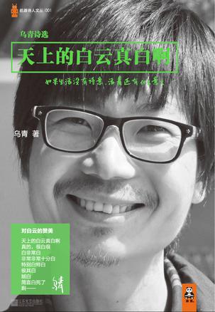 天上的白云真白?。寒斚伦钍軤幾h詩人的詩集 天上的白云真白啊:當下最受爭議詩人的詩集
