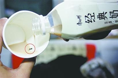 田先生喝的經(jīng)典奶茶中有一只蒼蠅。