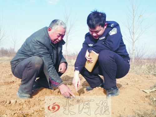 牡丹苗被盜之后，郭萬通又補種的牡丹苗已經(jīng)發(fā)芽