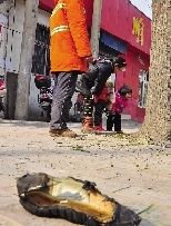 老漢右腿燒傷，樹下扔了一只燒焦的鞋