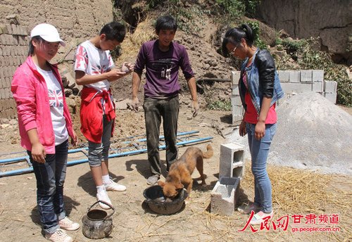 渴壞了的小黃狗在喝水。王生元/攝