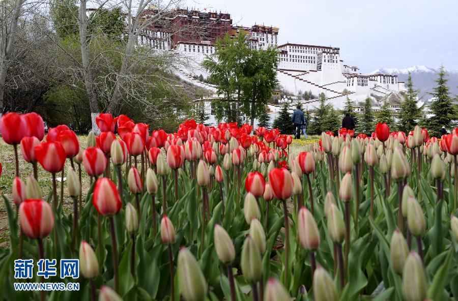 各地迎進“五一”小長假 各地迎進“五一”小長假
