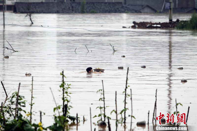重慶孕婦被困孤島挨餓 丈夫冒險游泳送口糧 重慶孕婦被困孤島挨餓 丈夫冒險游泳送口糧