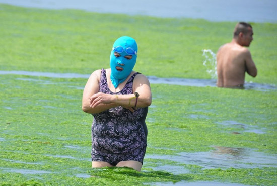 2013年7月3日，山東青島青島高溫來襲，“青島大媽”不懼滸苔，戴著“強盜面具”出現(xiàn)在海水浴場消暑降