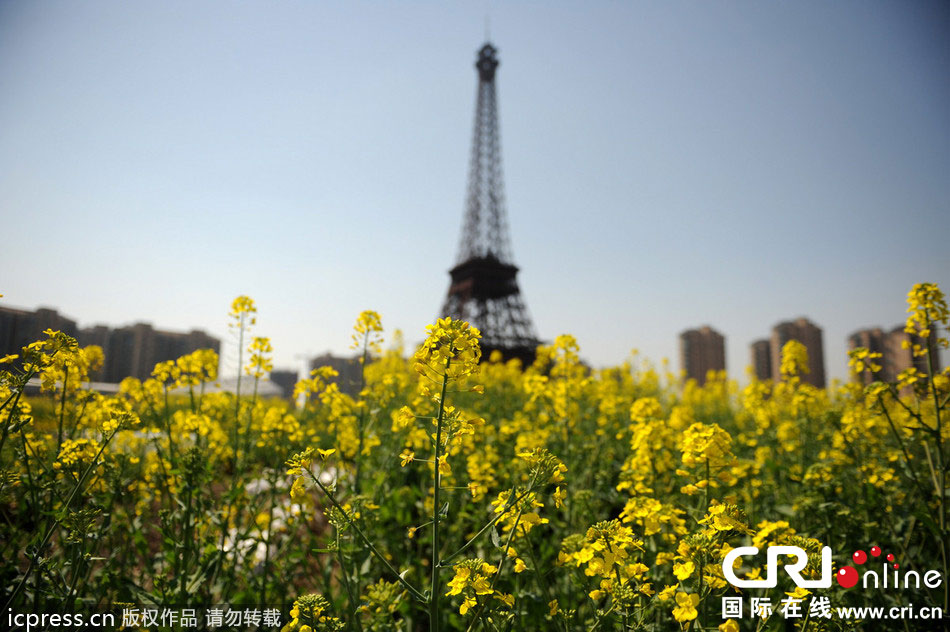 　2014年3月21日，杭州天都城，農(nóng)民在山寨埃菲爾鐵塔下耕作。圖片來源：東方IC