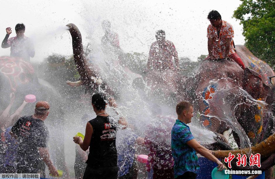 泰國(guó)民眾迎接潑水節(jié) 大象長(zhǎng)鼻秒變“水槍” 泰國(guó)民眾迎接潑水節(jié) 大象長(zhǎng)鼻秒變“水槍”