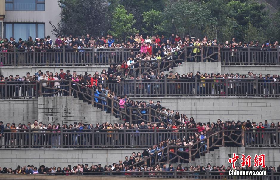重慶上萬粉絲在南濱路等待《奔跑吧兄弟》節(jié)目的錄制。
