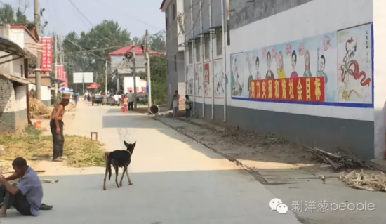 孫莊村一角。新京報記者安鐘汝 攝