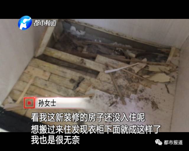 蟻?zhàn)宕筌娙肭?！十幾萬裝修的新家被“吃掉”