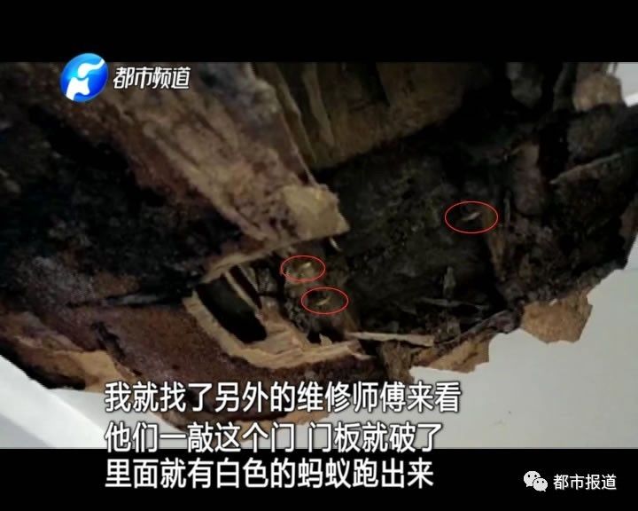 蟻?zhàn)宕筌娙肭?！十幾萬裝修的新家被“吃掉”