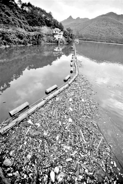 7月7日，廣西賀州市賀江合面獅段被污染的水域。據(jù)新華社