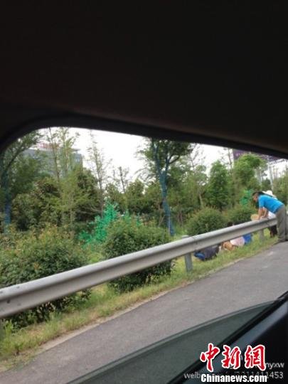 網(wǎng)友質(zhì)疑南京南站輔道種假樹 市委書記當晚批示徹查 網(wǎng)友質(zhì)疑南京南站輔道種假樹 市委書記當晚批示徹查