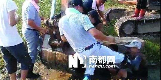 幾名戴黑帽的男子將一名老人推入水塘，后反復(fù)腳踹。