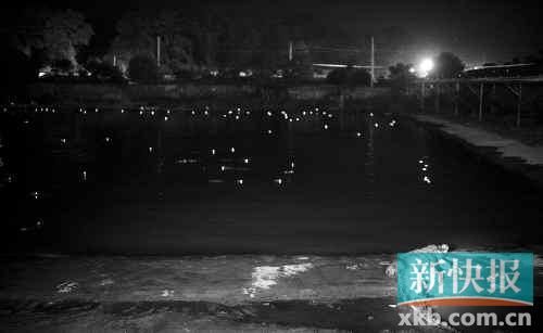 昨日，西湖村鱷魚養(yǎng)殖場(chǎng)已修復(fù)圍欄。