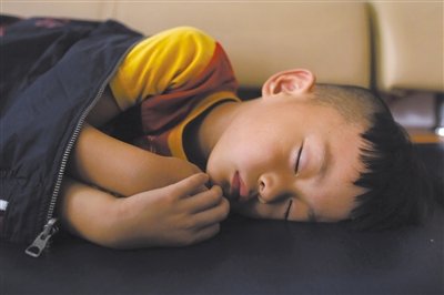 9月6日，等待錄制節(jié)目的多多躺在沙發(fā)上熟睡。新京報(bào)記者 侯少卿 攝