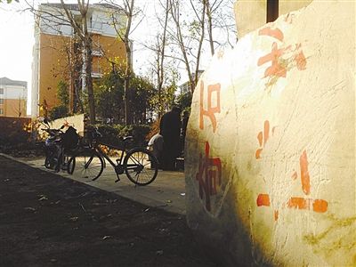 昨日，“上海奇石盆景博物館”原址上，已矗立起小區(qū)樓盤(pán)，而刻著博物館名的巨石，廢棄在一旁。本版圖片/新京報(bào)記者 張永生 攝