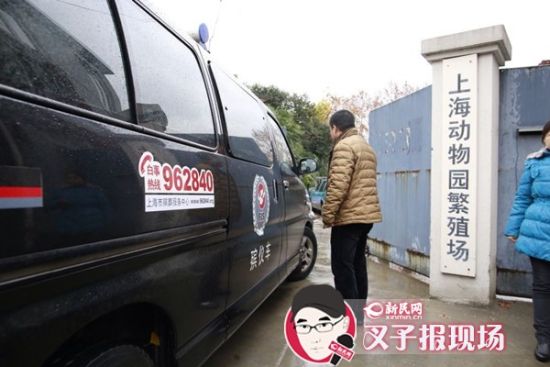 殯葬車到達(dá)現(xiàn)場。新民網(wǎng) 記者 蕭君瑋 攝