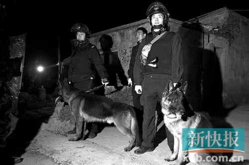 緝毒犬協(xié)助警方搜查毒品。