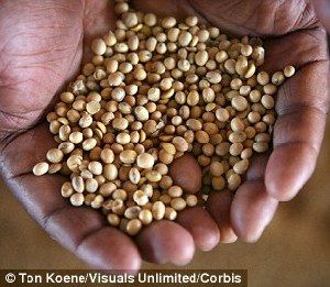 超強(qiáng)厄爾尼諾將引發(fā)全球極端天氣，中國北方或極端高溫-