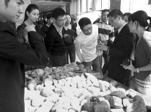 前段時間，夫子廟古玩城舉行的一場賭石活動，吸引了不少人參與