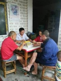 掃水掃不及，胥家鎮(zhèn)柏河村的居民干脆打起了麻將。