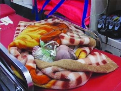 女?huà)氡贿z棄路旁險(xiǎn)遭車輪碾壓 警方已送福利院 女?huà)氡贿z棄路旁險(xiǎn)遭車輪碾壓 警方已送福利院