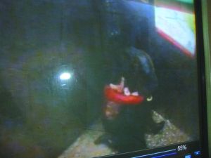 男子將侯某撲倒，侯某反抗。