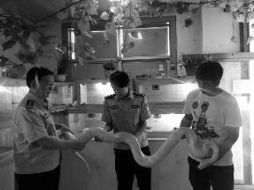 在校大學(xué)生網(wǎng)上販賣(mài)珍貴野生動(dòng)物 稱因家境困難