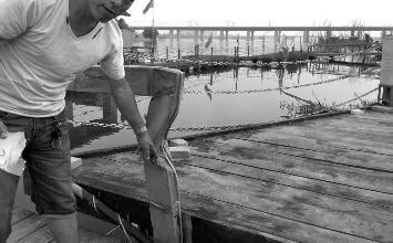 鼻孔里凝著血痂、全身多處擦傷的周先生仍有些驚魂未定。