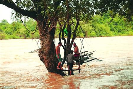 蓋屋、種菜，“從沒這樣快樂”