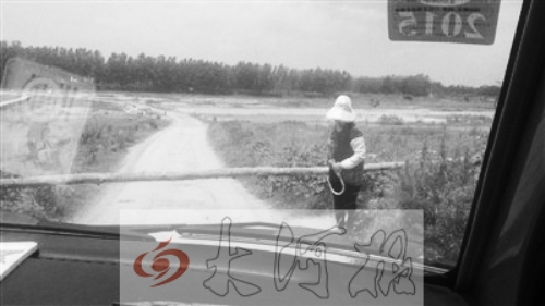 中年婦女?dāng)r路收費 中年婦女?dāng)r路收費