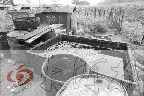 　　骯臟、令人作嘔的油桶凌亂地?cái)[放在院子里，為了避免視覺刺激，我們把它做成了黑白圖片。