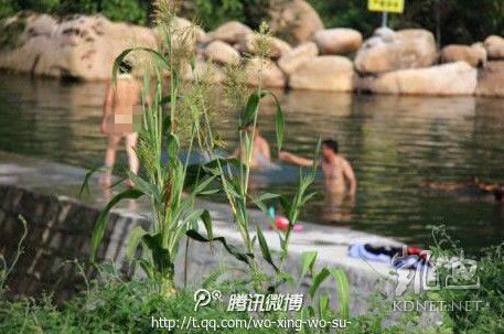 網(wǎng)友曝光的現(xiàn)場圖片。（圖片來自網(wǎng)絡）