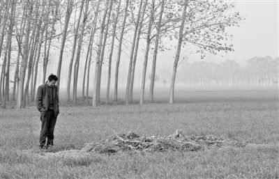 11月21日，高松中站在腦癱雙胞胎兒子墳前。