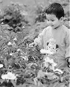 　春光里,鄭州處處皆美景。