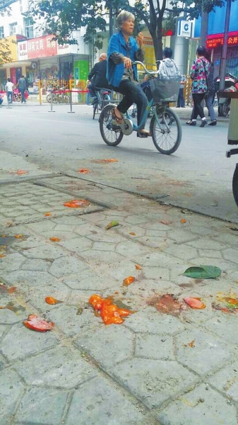 爛了一地的柿子影響市容，還常常滑倒人。