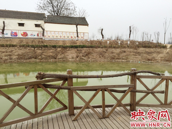 護欄損毀的地方，已經(jīng)被兩根樹干擋住。