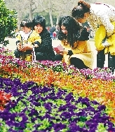 近距離才能拍得更真切。